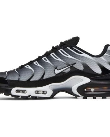 Air Max Plus 'Black Metallic Silver'