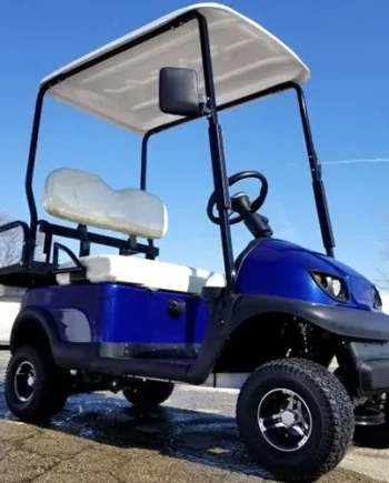 36v Electric Termite Golf Cart Mini Four Seater 4 Seater Optionally Fully Loaded – BLUE