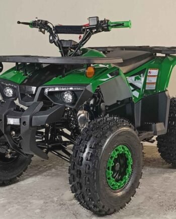 125cc Youth ATV 4-stroke 1-cylinder JUST ARRIVED 2025