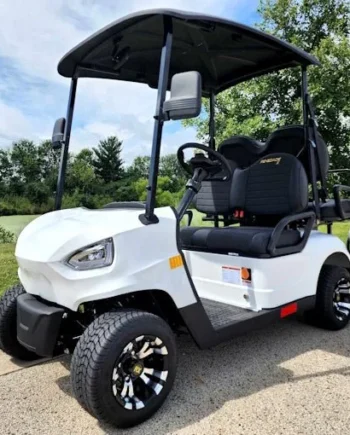 48V Electric Golf Cart 4 Seater White Renegade X Edition Utility Golf UTV