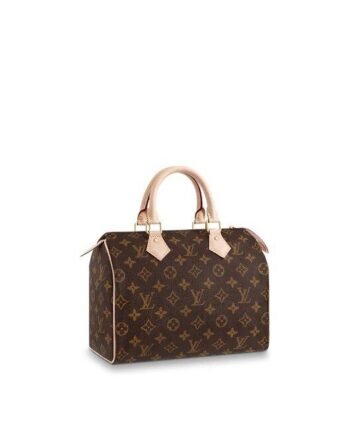 Louis Vuitton SPEEDY 25