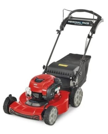 Toro Recycler with Personal Pace 22-in Gas Self-propelled lawn mower with 163-cc Briggs and Stratton Engine