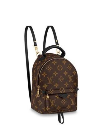 Louis Vuitton PALM SPRINGS MINI