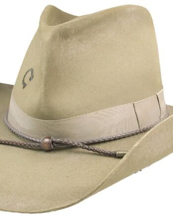 Charlie 1 Horse Desperado 3X Wool Western Hat